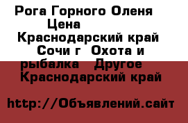 Рога Горного Оленя  › Цена ­ 15 000 - Краснодарский край, Сочи г. Охота и рыбалка » Другое   . Краснодарский край